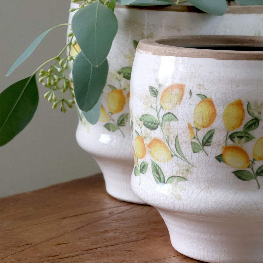 Chic Antique – Limone Blossom Übertopf mit Zitronen und Blumen – klein
