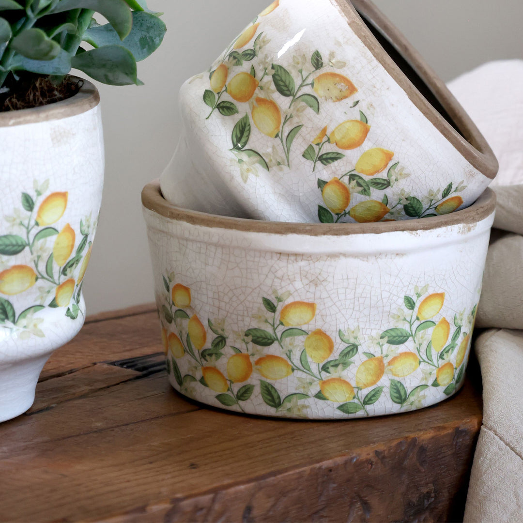 Chic Antique – Limone Blossom Übertopf mit Zitronen und Blumen
