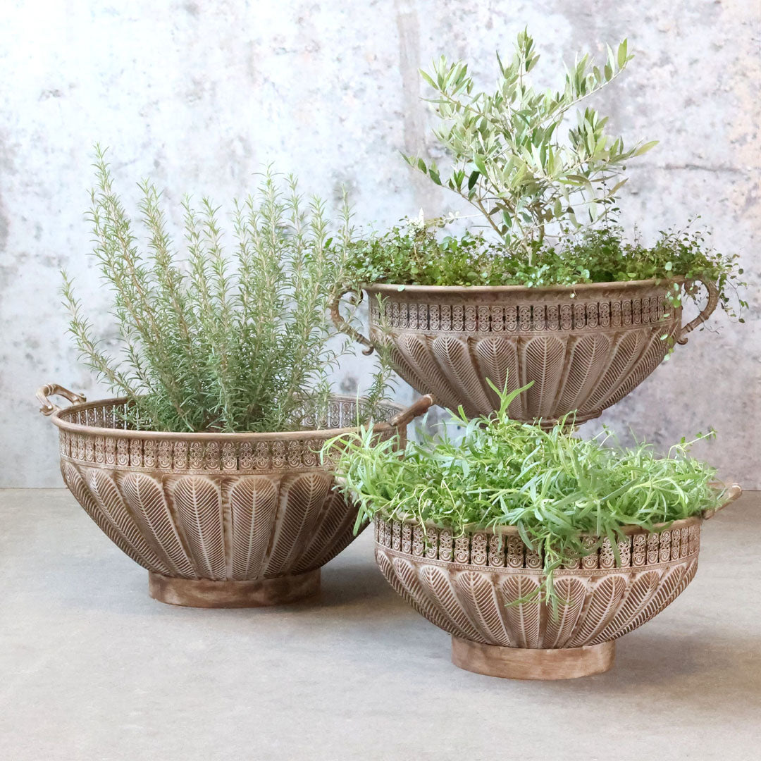 Chic Antique – Pflanzgefäß auf Fuß – H38/Ø56 cm – Antique Mocca