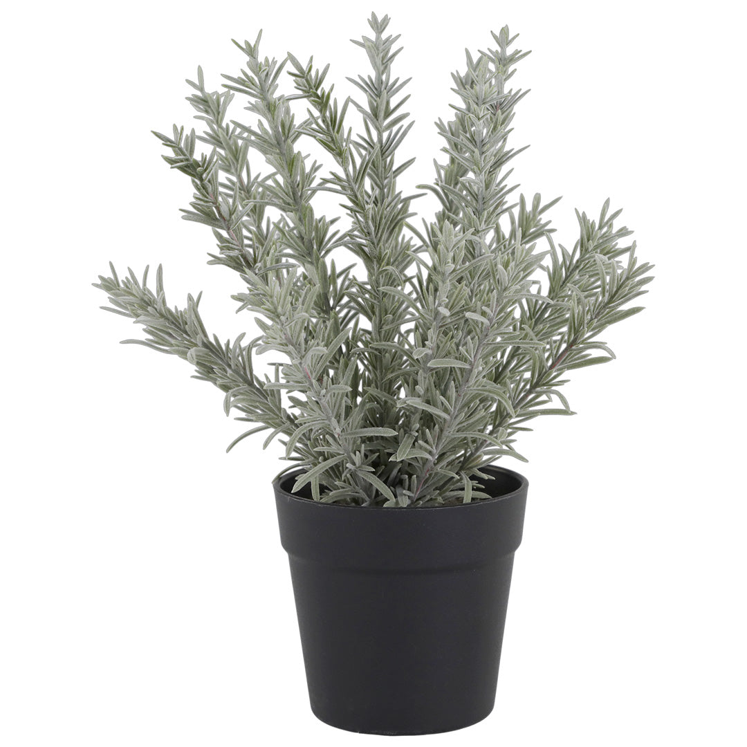Chic Antique – Künstliche Rosmarinpflanze im Topf H30 Ø11 cm