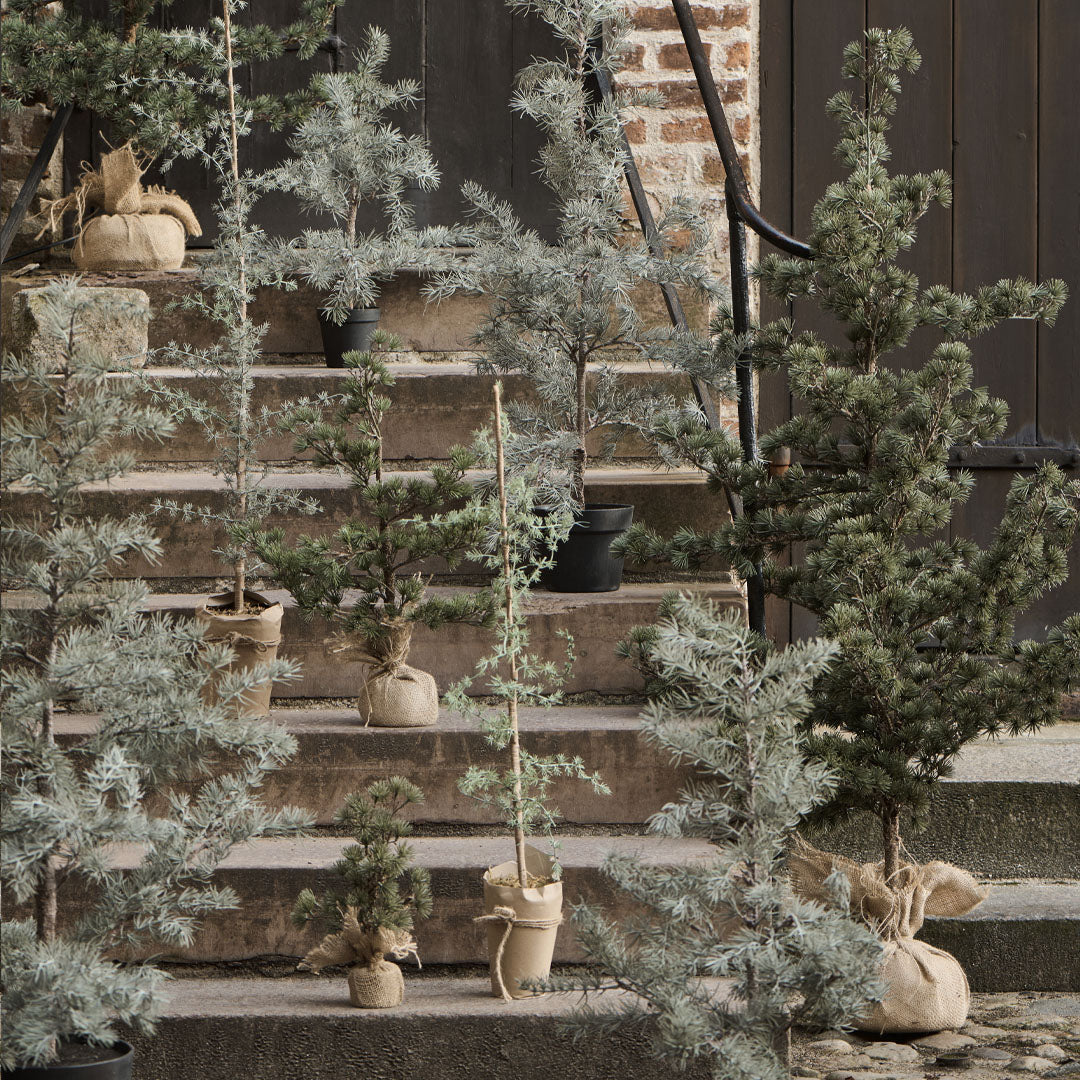 Ib Laursen - Künstliche Zederranke - 150 cm