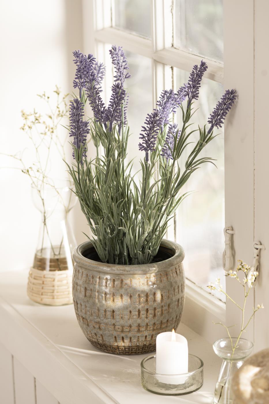 Ib Laursen - Lavendel im Topf 40 cm