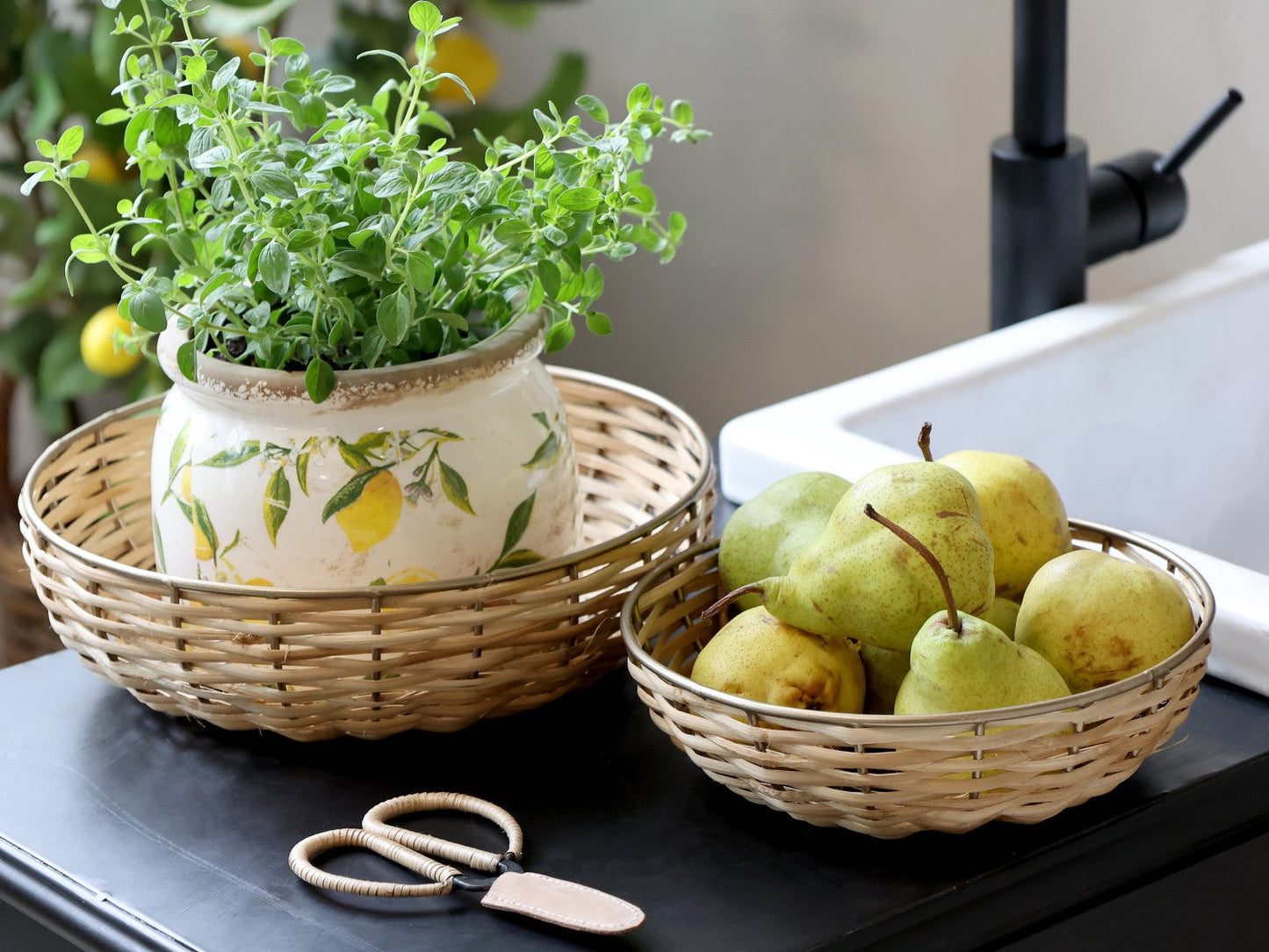 Chic Antique - Limone Pflanzgefäß mit Zitronenmotiv H9,5/Ø12