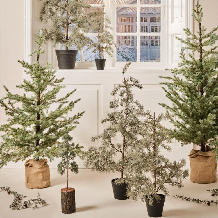 Zeder unecht & Weihnachtsbäume