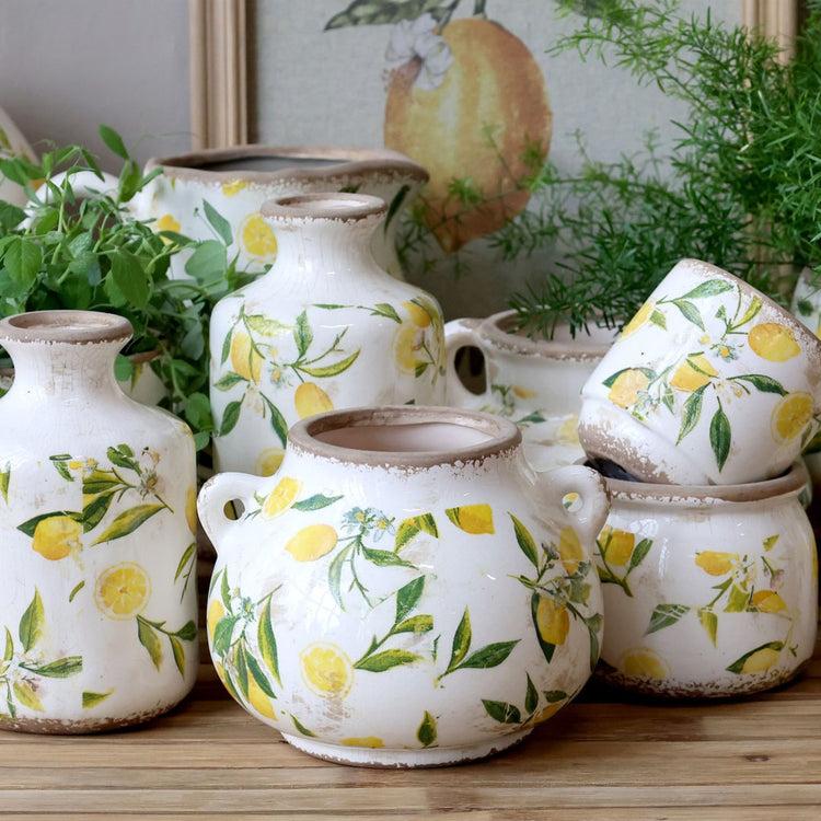 When life gives you lemons, make lemonade...