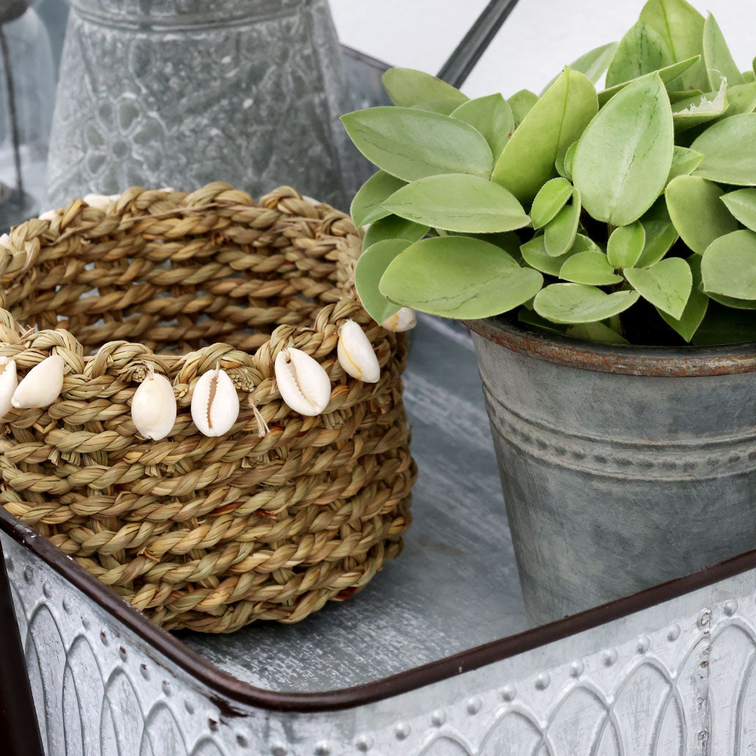Chic Antique – Geflochtener Korb mit Muscheln – H9/Ø12 cm – Natur