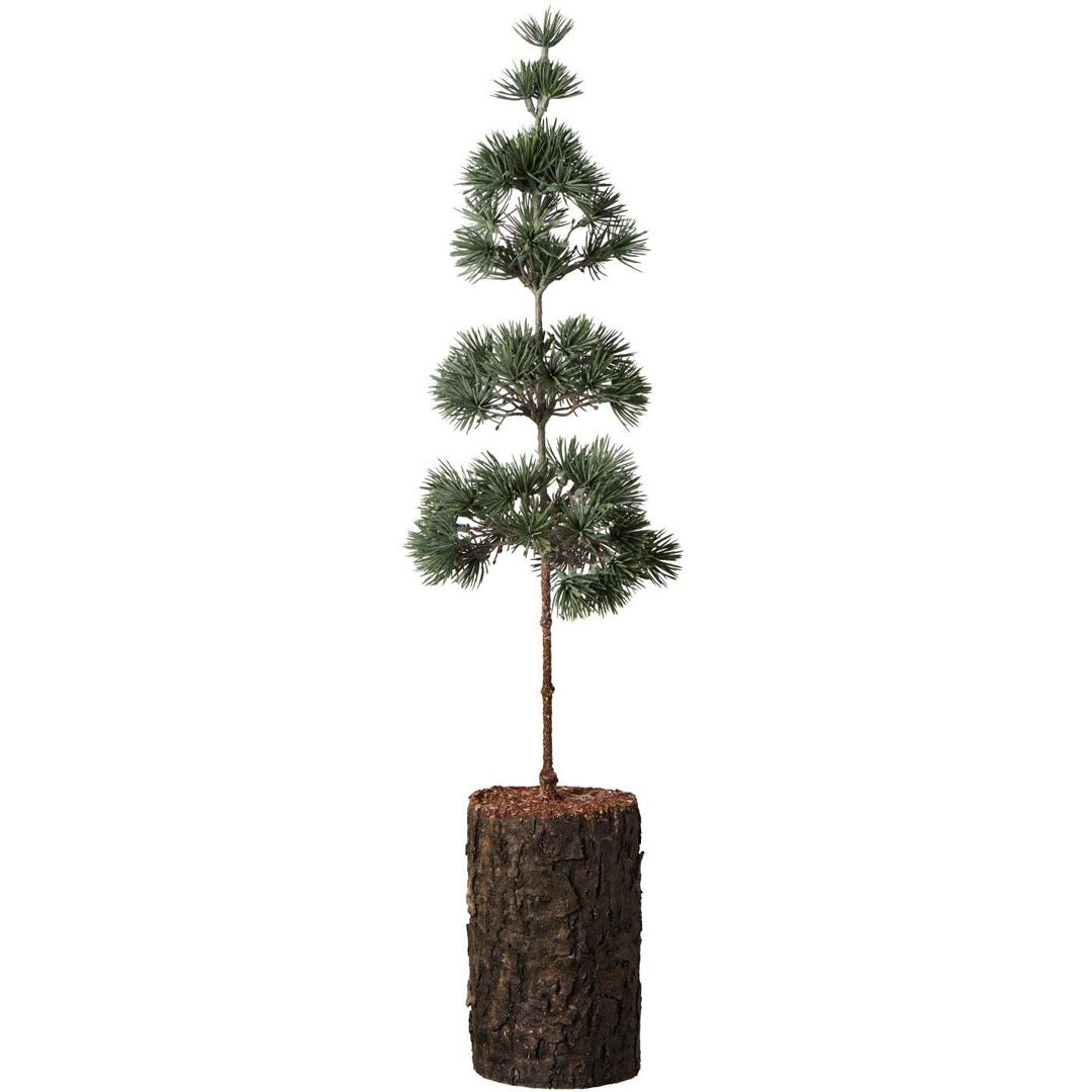 Ib Laursen - Zeder künstlich mit Stamm und Rindenfuß - 60 cm