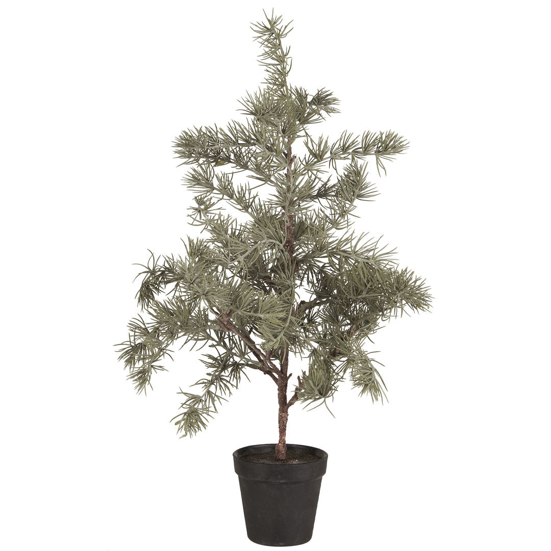 Ib Laursen - Künstlicher Zedernbaum in Plastiktopf - 60 cm