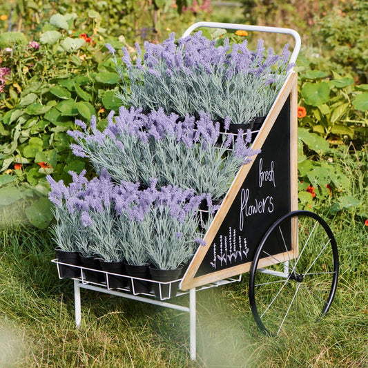 Ib Laursen - Displaywagen mit 3 Regalen/Körben - 2 Kreidetafeln und 2 Rädern - Weiß