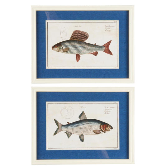 Ib Laursen - Bild mit Fischmotiv, 2 Stück in Holzrahmen
