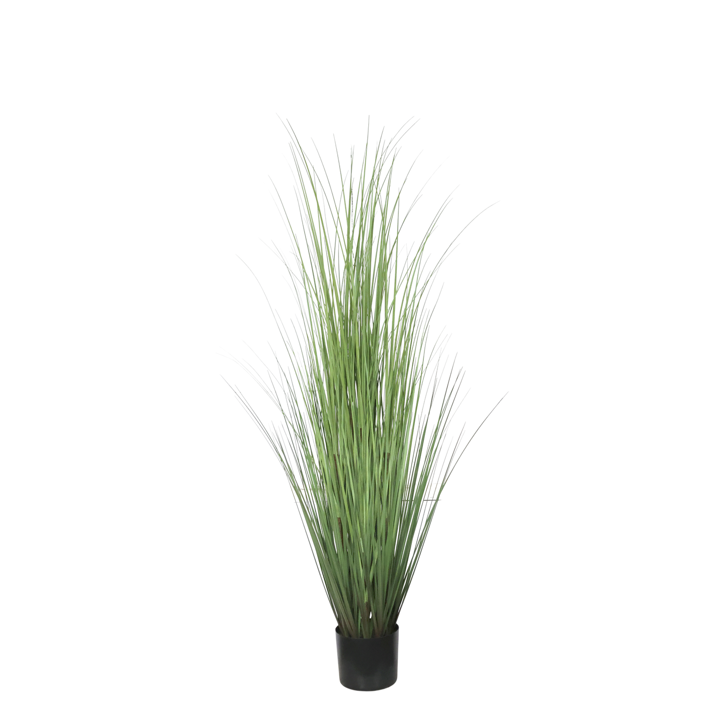 Chic Antique – Fleur Künstliche Schilfpflanze H150 cm – Grüne Dekorationspflanze