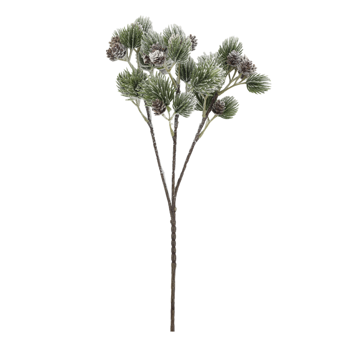 Chic Antique – Fleur Zweig mit Zedernzweigen und Tannenzapfen | H62 cm – Grün
