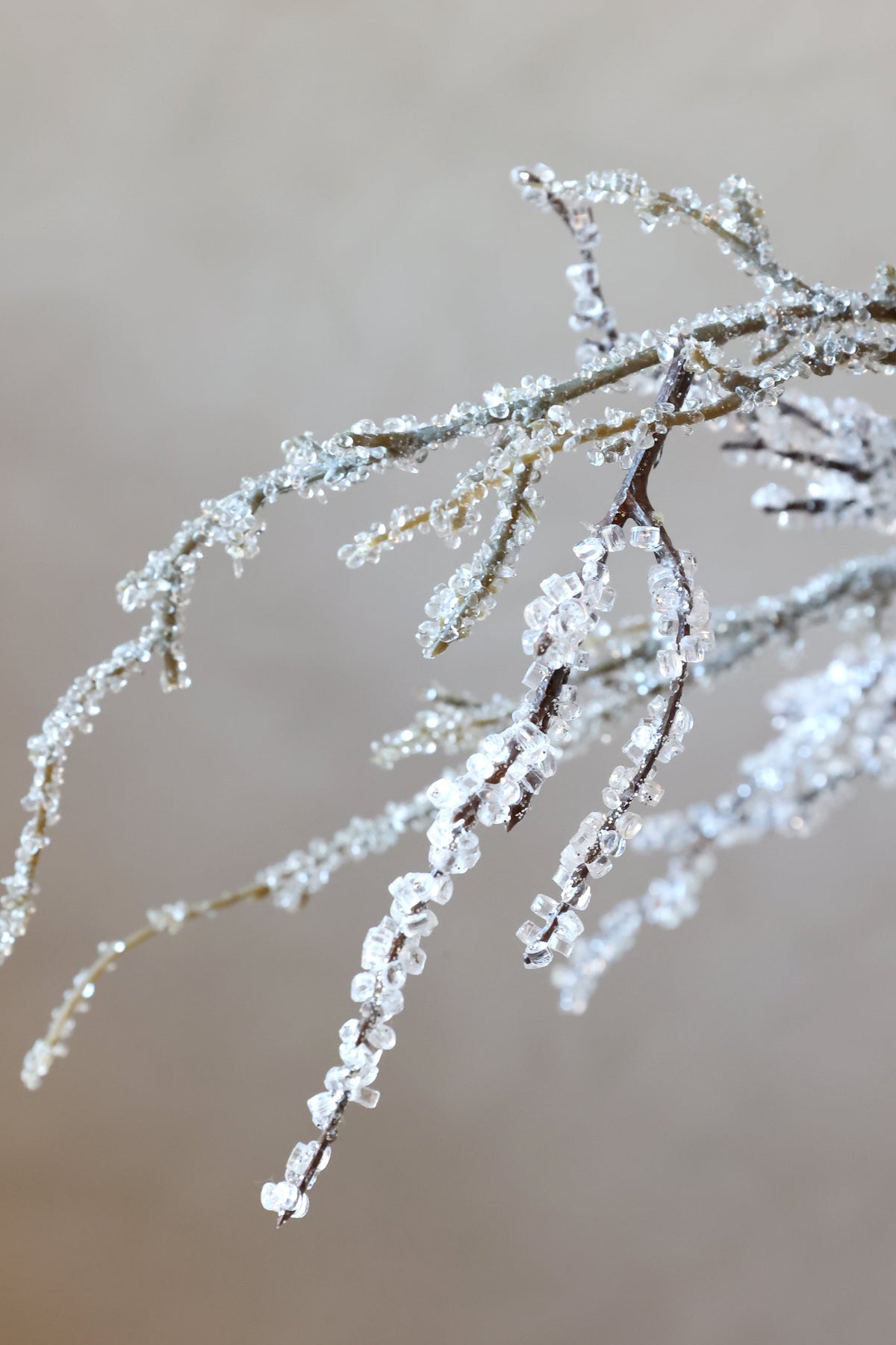 Chic Antique – Bereifter Dekozweig – Künstlicher Winterzweig mit Eisoptik