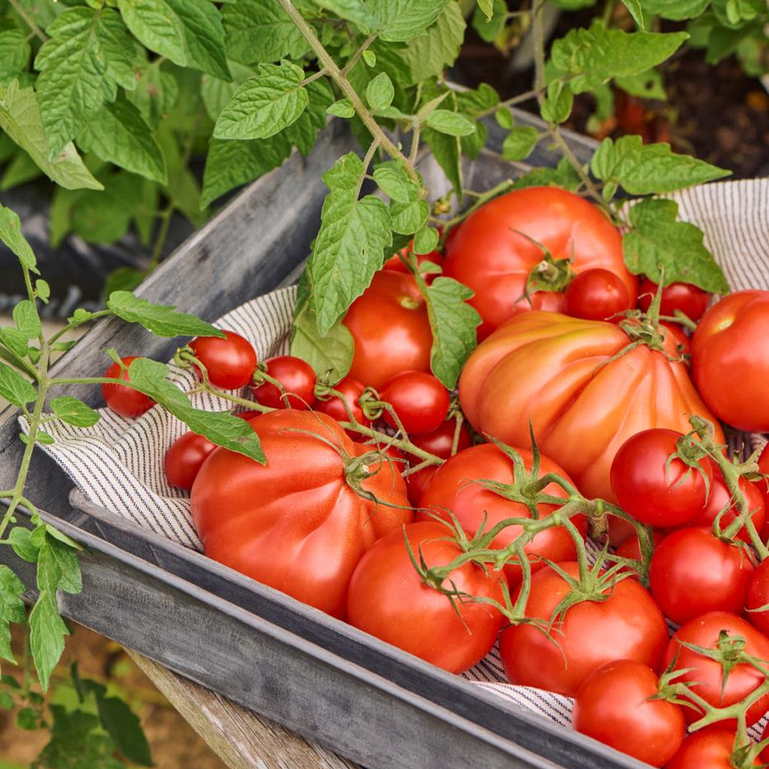 Ib Laursen – Tablett-Set, 2-teilig – länglich, Urban Garden