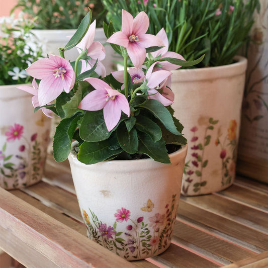 Chic Antique - Avignon Versteck mit Blumenmuster - H10/Ø11 cm Creme