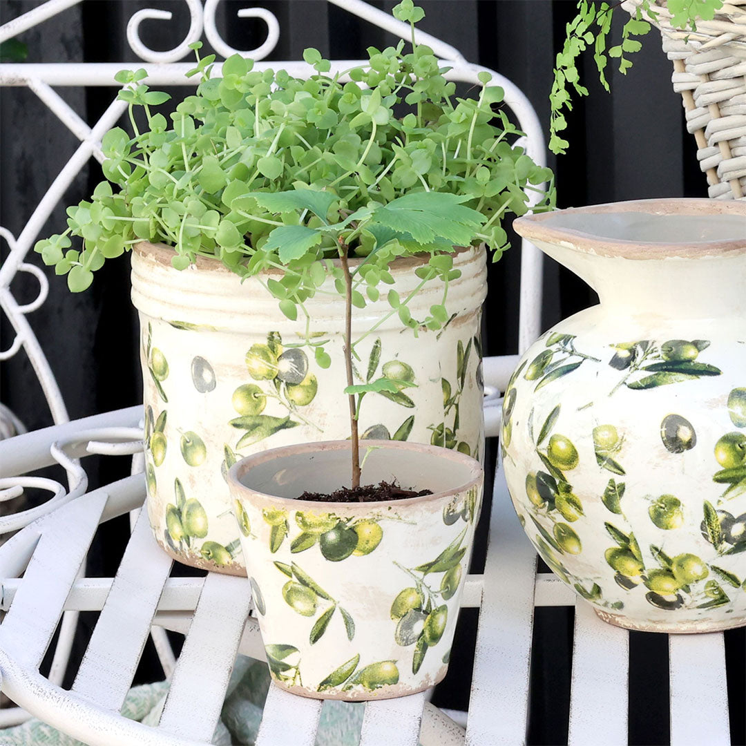 Chic Antique - Olive Versteck mit Olivenmuster - H9,5/Ø11 cm Creme