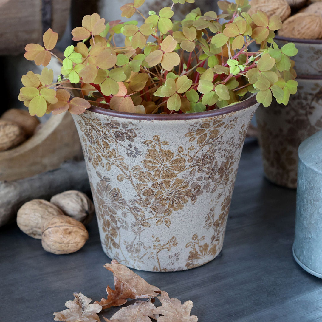 Chic Antique – Melun Übertopf groß, H12,5 / Ø14,5 cm, Latte