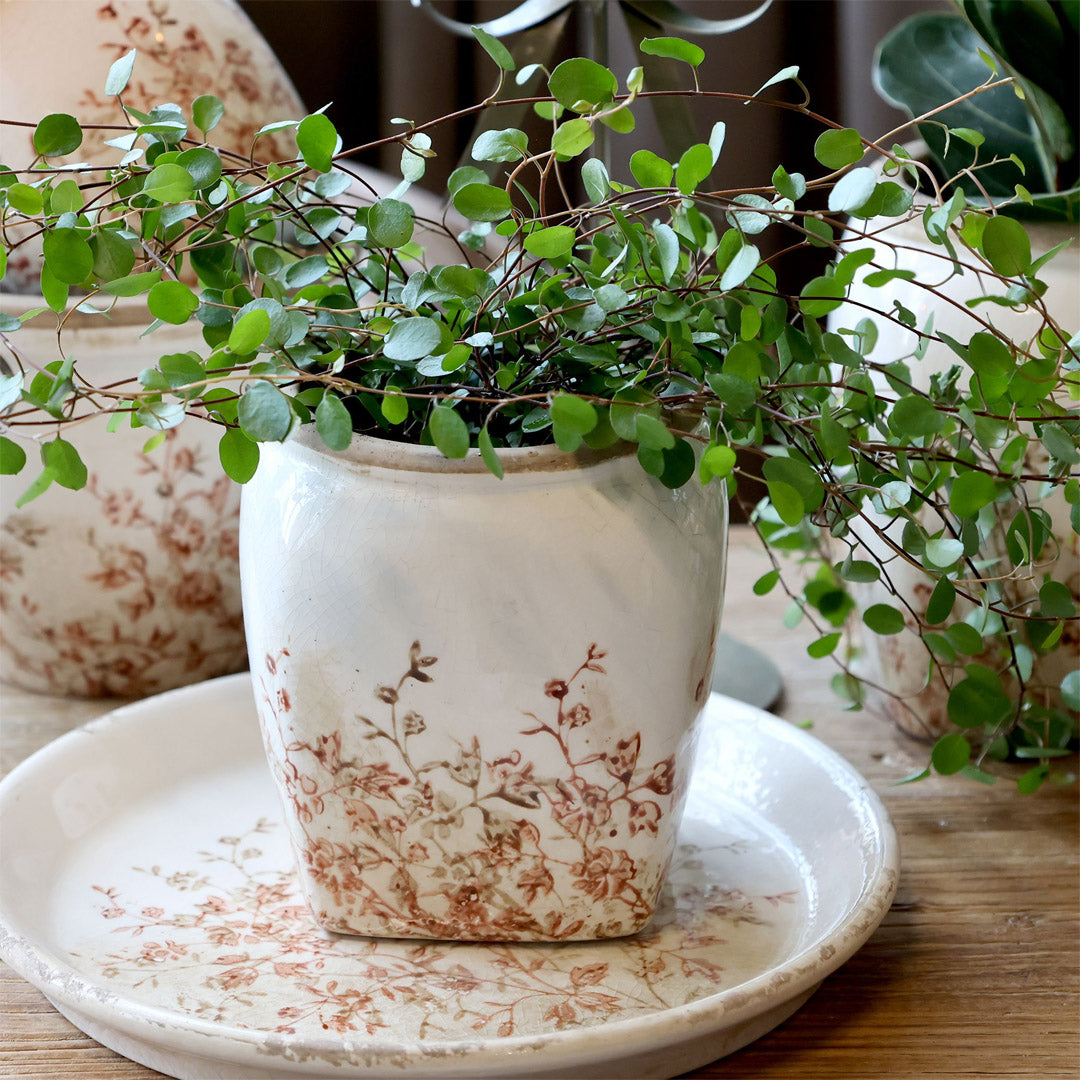 Chic Antique – Chaville Übertopf klein, H13/Ø12 cm, Creme