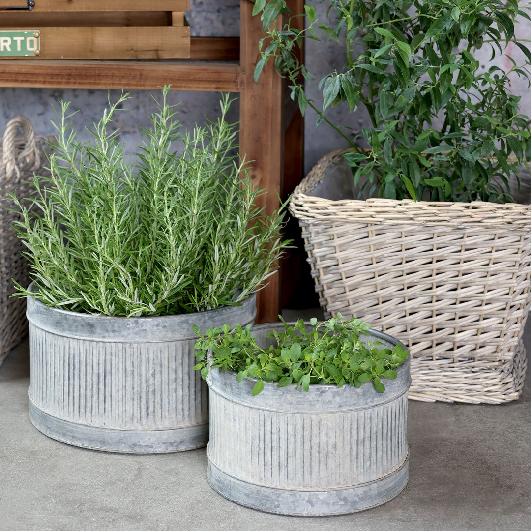 Chic Antique – Übertopf in Antik-Zink mit Rillen – 2er-Set im rustikalen Design