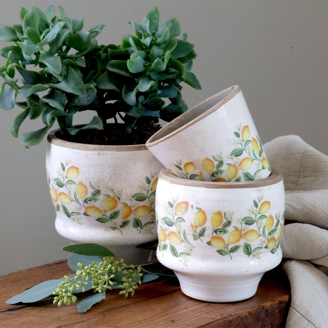 Chic Antique – Limone Blossom Übertopf mit Zitronen und Blumen – klein