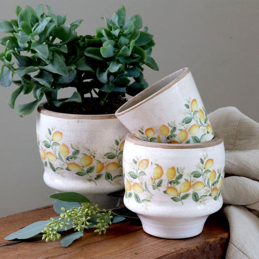 Chic Antique – Limone Blossom Übertopf mit Zitronen und Blumen – klein