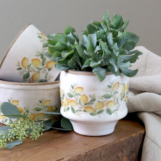 Chic Antique – Limone Blossom Übertopf mit Zitronen und Blumen – groß