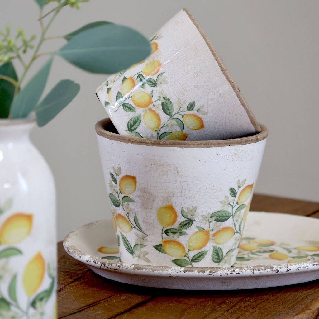 Chic Antique – Limone Blossom Übertopf mit Zitronen und Blumen – klein