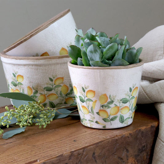 Chic Antique – Limone Blossom Übertopf mit Zitronen und Blumen – klein