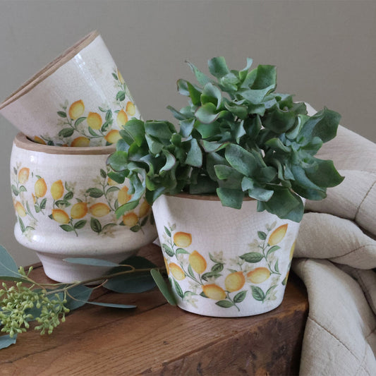 Chic Antique – Limone Blossom Übertopf mit Zitronen und Blumen – groß