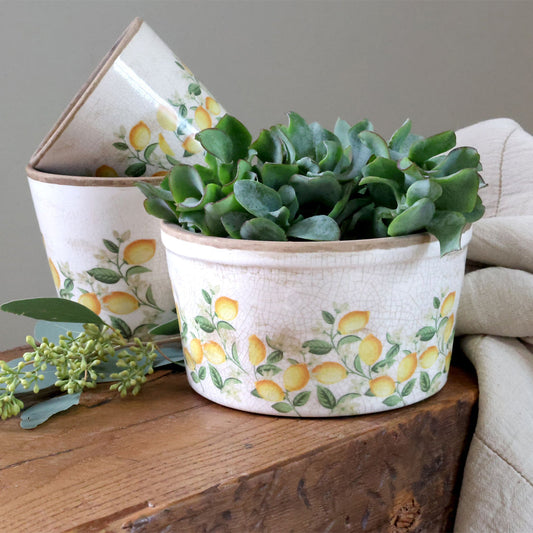 Chic Antique – Limone Blossom Übertopf mit Zitronen und Blumen