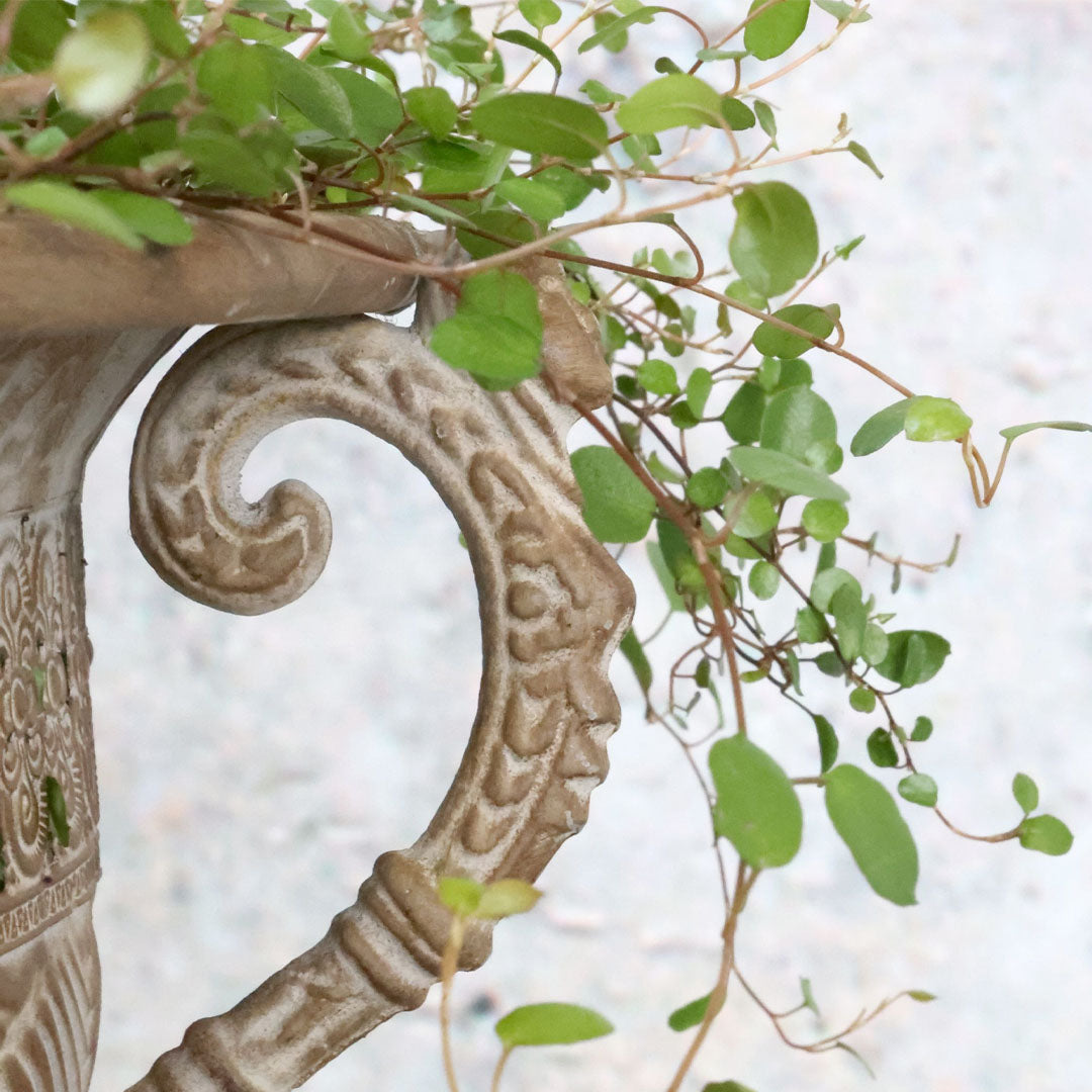 Chic Antique – Pflanzgefäß auf Fuß – H38/Ø56 cm – Antique Mocca