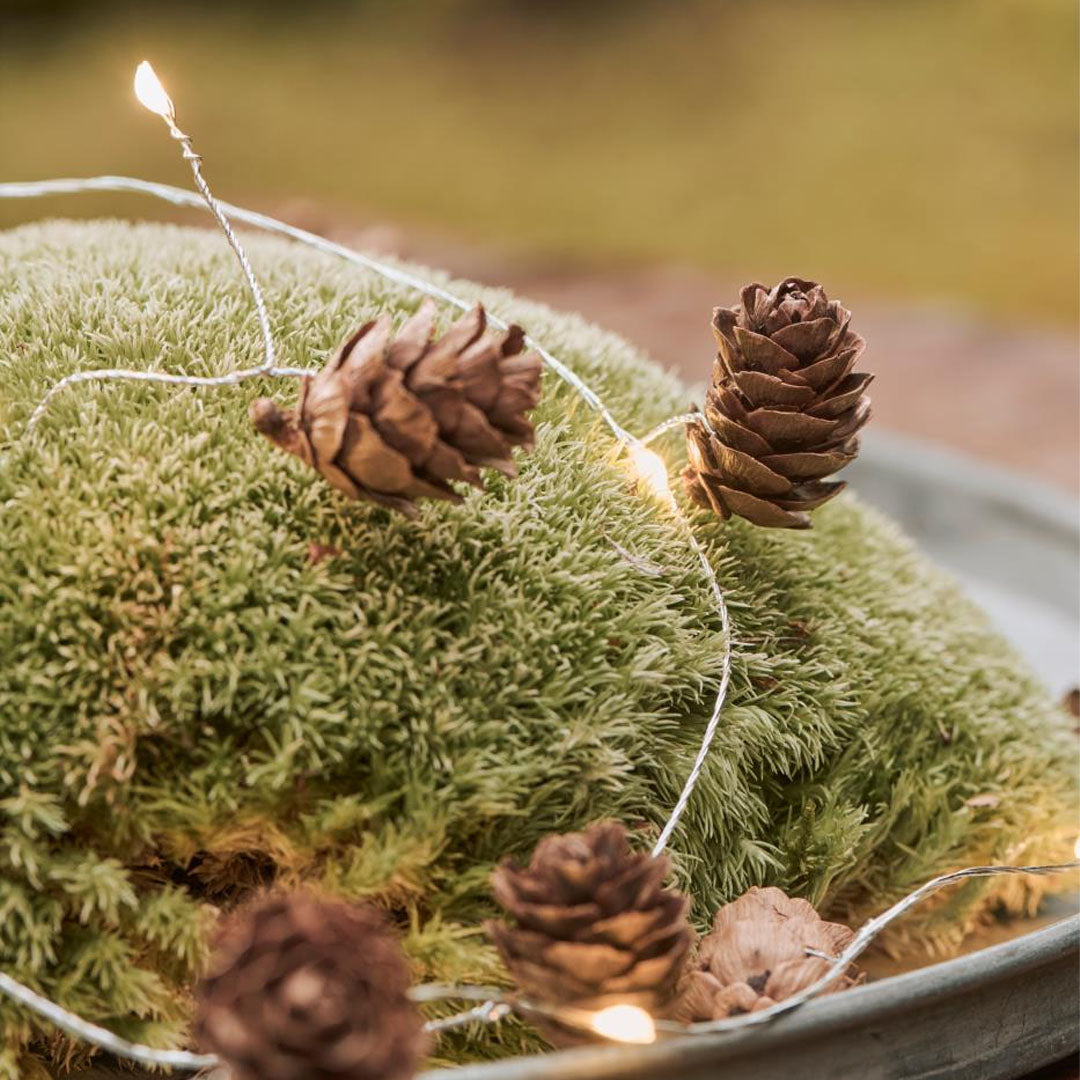Ib Laursen - Lichterkette mit 10 LED-Lichtern und kleinen Zapfen