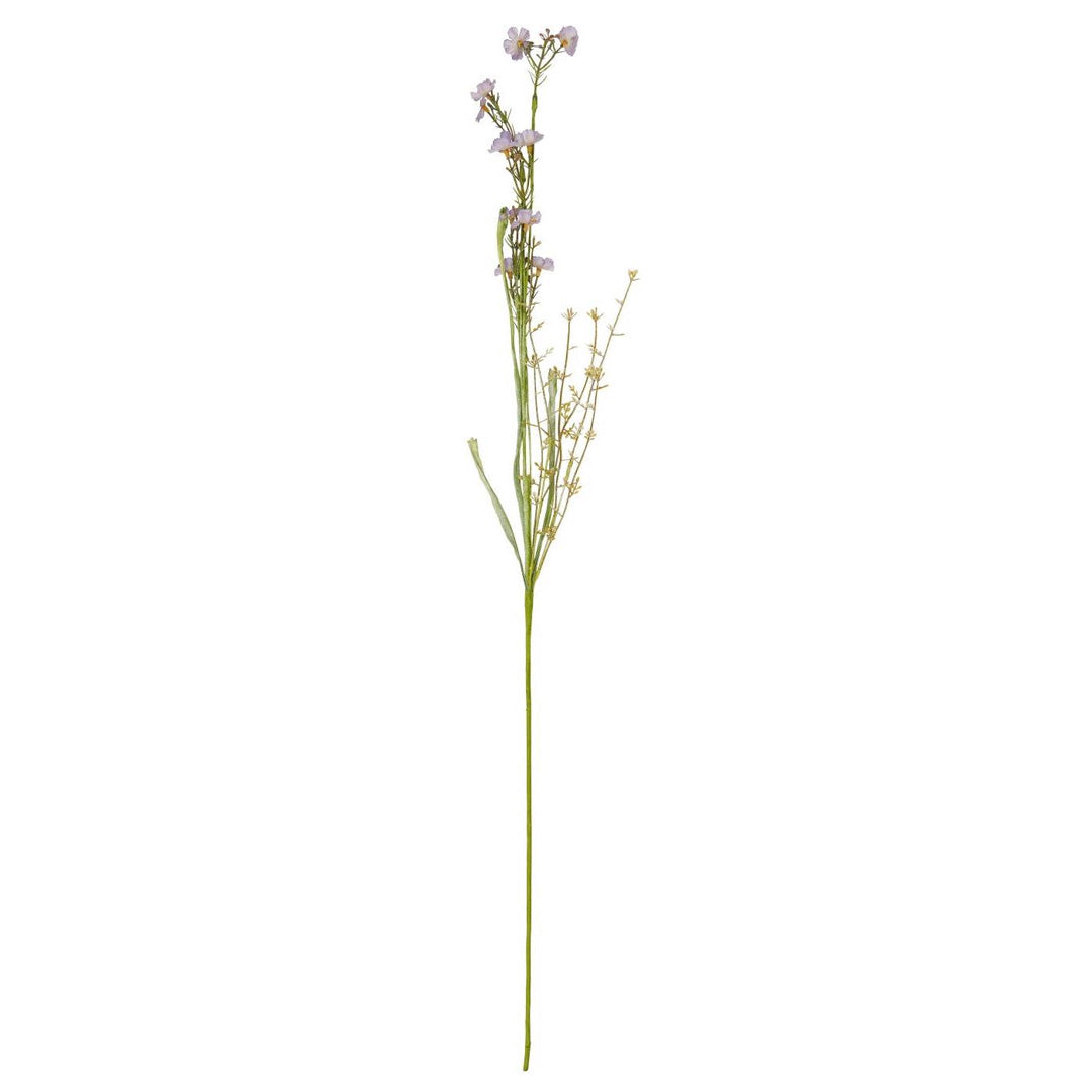 Ib Laursen – Blume in lila Nuancen