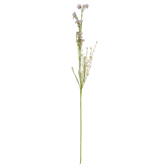 Ib Laursen – Blume in lila Nuancen
