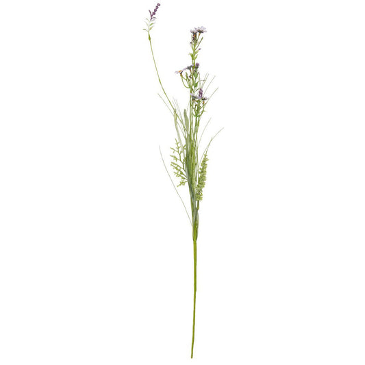 Ib Laursen – Blume mit zwei Arten lila Blüten
