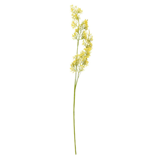 Ib Laursen – Blume mit gelben Blüten