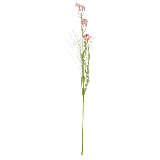 Ib Laursen – Blume mit rosafarbenen/weißen Blüten