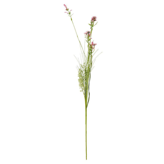 Ib Laursen – Blume mit zwei Arten rosafarbener Blüten