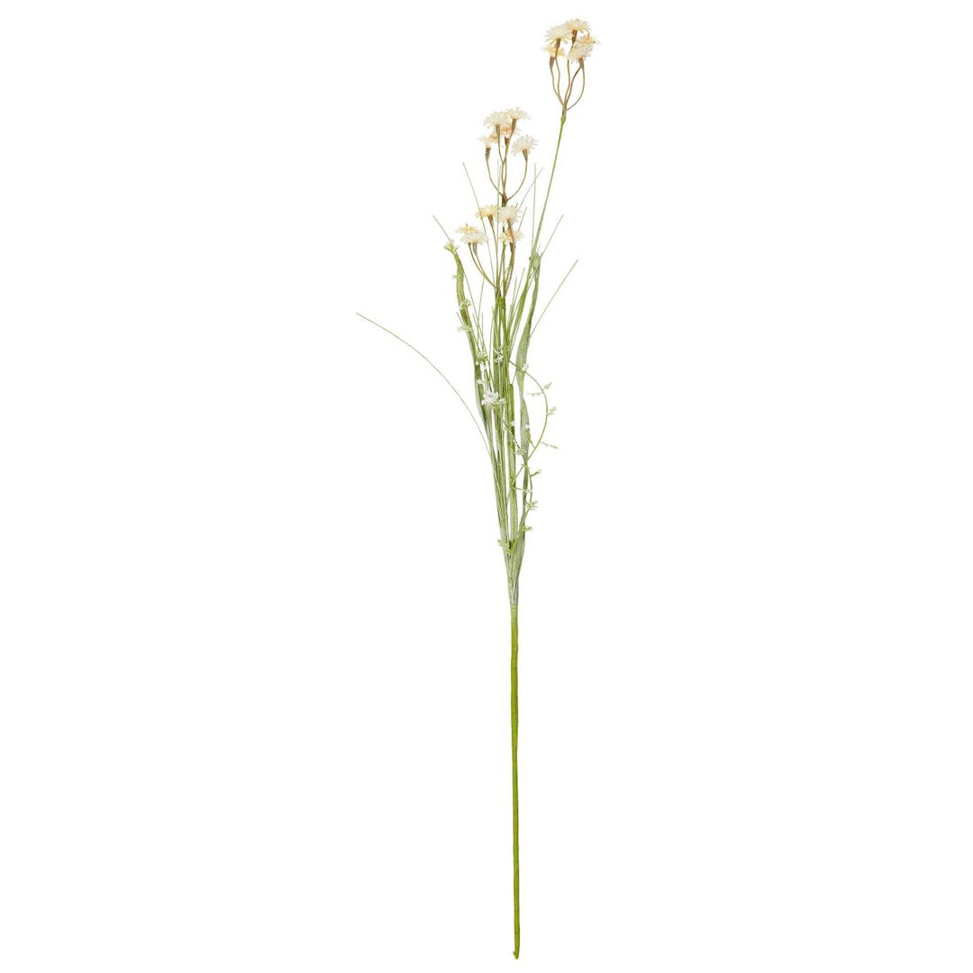 Ib Laursen – Blume mit weißen/orangen Knospen