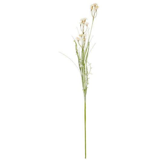 Ib Laursen – Blume mit weißen/orangen Knospen
