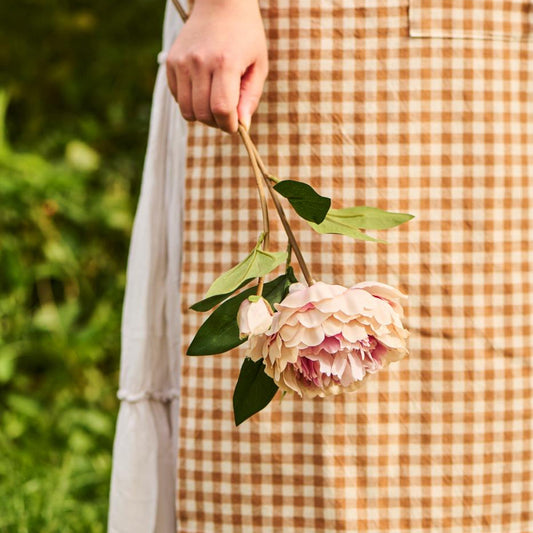 Ib Laursen – Pfingstrosenstiel mit 1 Blüte und 1 Knospe Hellrosa – 55 cm