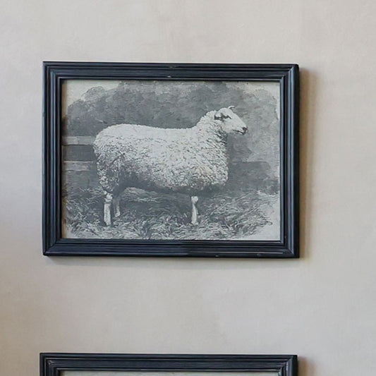 Chic Antique - Bild mit Schafmotiv in Schwarzem Rahmen