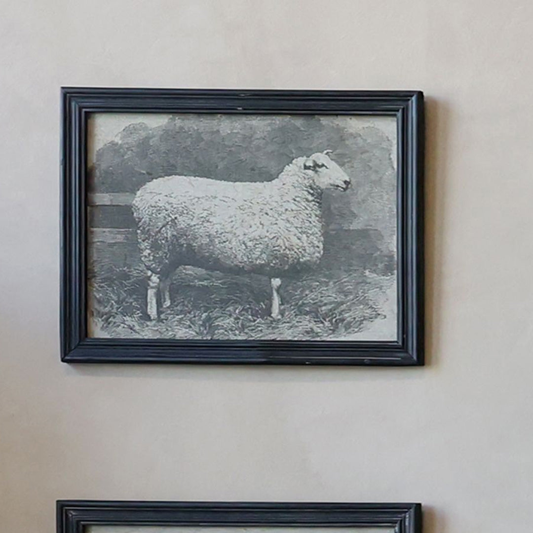 Chic Antique - Bild mit Schafmotiv in Schwarzem Rahmen