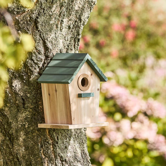 Vogelhaus "Strandhütte" – Natur Kiefernholz mit Staubgrünem Dach, Ø32 mm