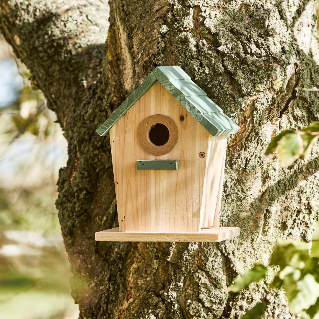 Vogelhaus "Strandhütte" – Natur Kiefernholz mit Staubgrünem Dach, Ø32 mm