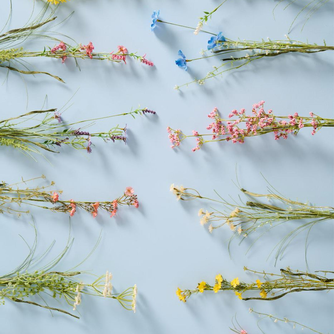 Ib Laursen – Blume mit zwei Arten rosafarbener Blüten