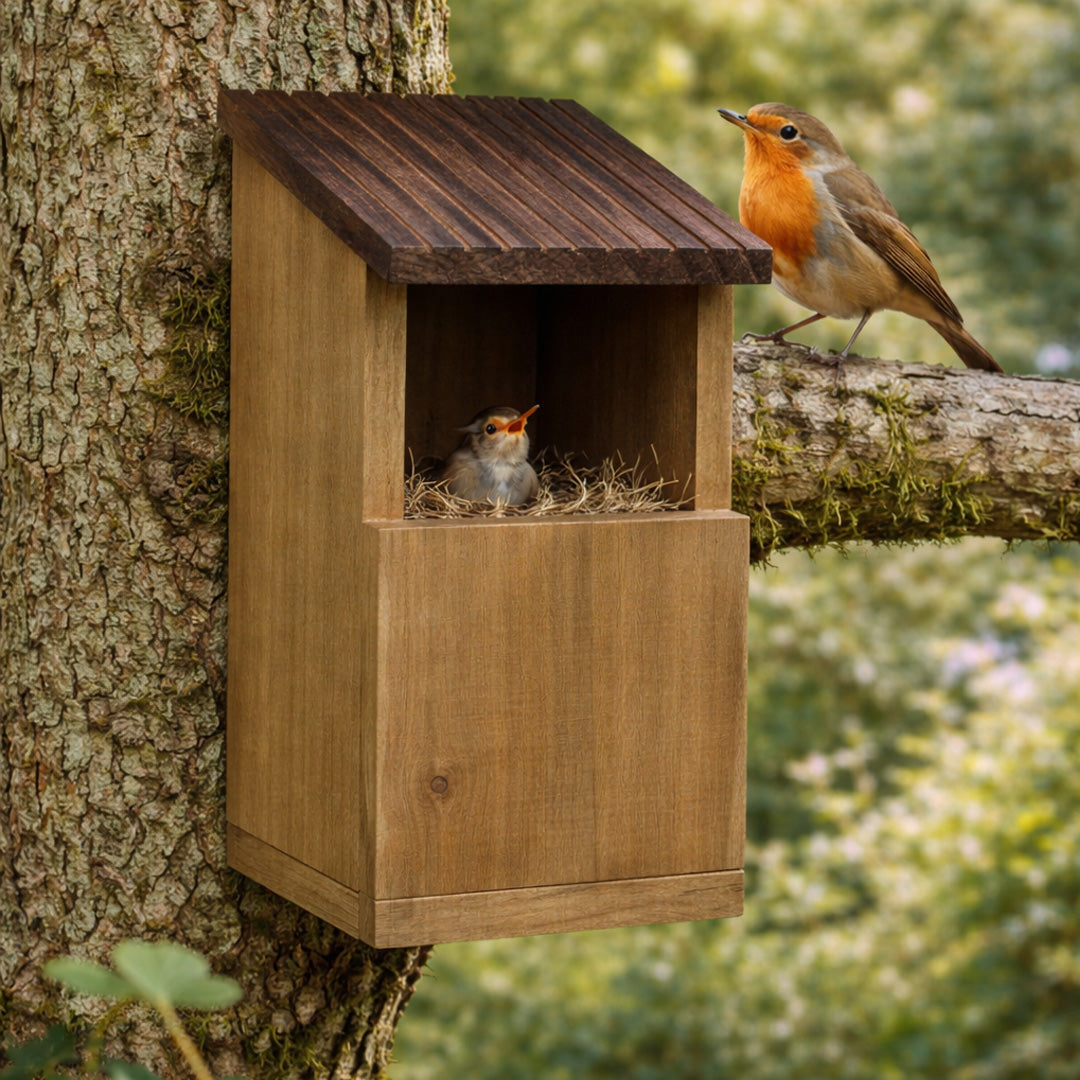 Redekasse für Rotkehlchen – Offener Nistkasten für kleine Gartenvögel