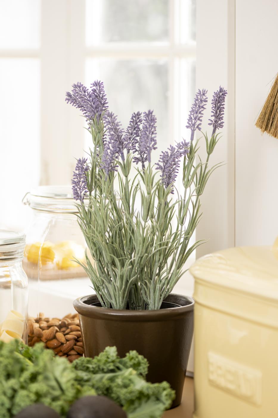 Ib Laursen - Lavendel im Topf 40 cm