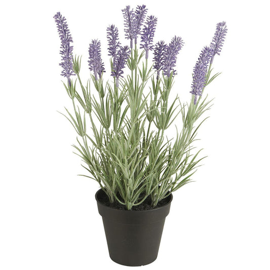 Ib Laursen - Lavendel im Topf 40 cm