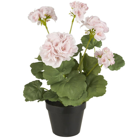 Ib Laursen - Geranie im Topf mit rosa Blüten 36 cm